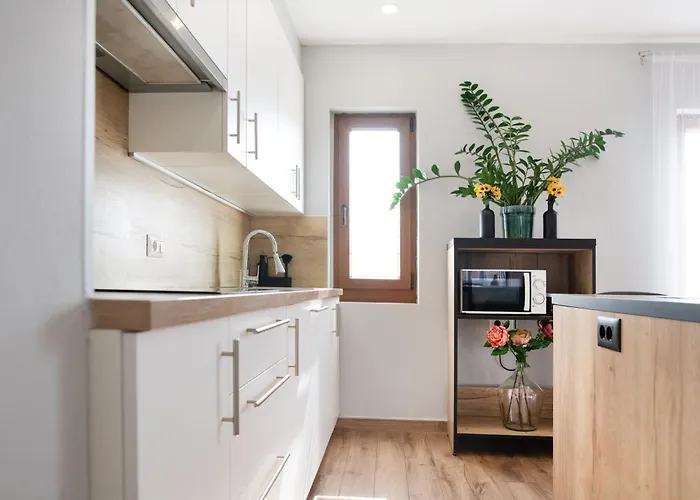 Apartman Superior Sincic