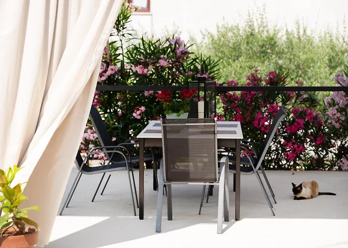 Superior Sincic * Poreč