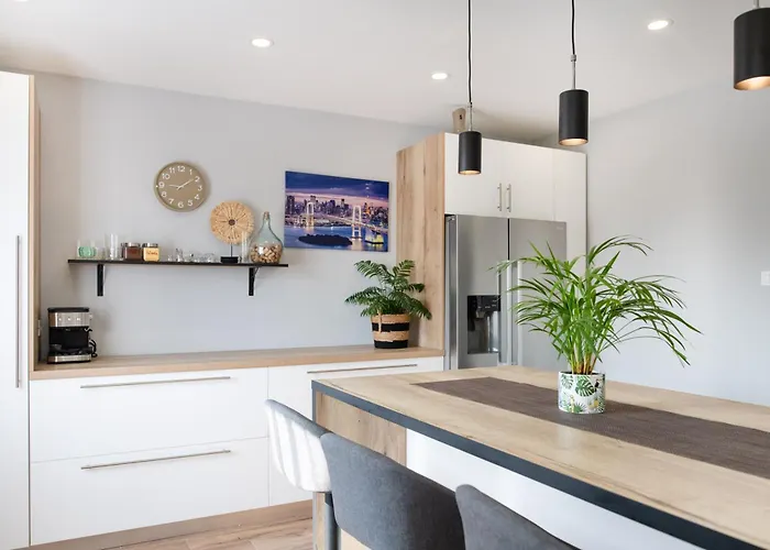 Apartment Superior Sincic